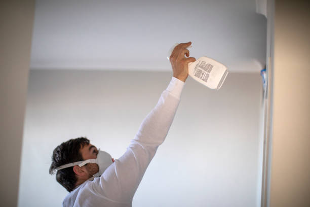 Best Professional Mold Removal  in Breckenridge, TX