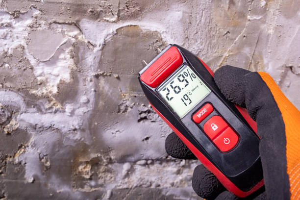 Best Certified Mold Removal  in Breckenridge, TX