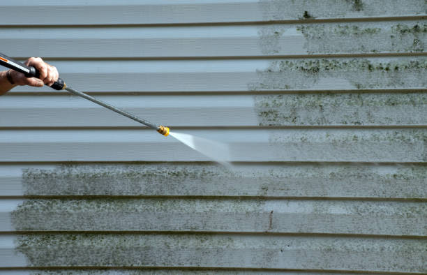 Best Mold Cleaning Services  in Breckenridge, TX