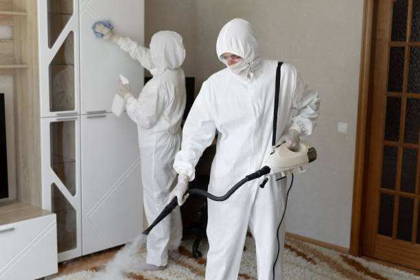 Best Residential Mold Removal  in Breckenridge, TX