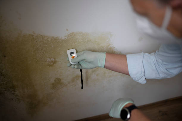 Best Mold Cleaning Services  in Breckenridge, TX